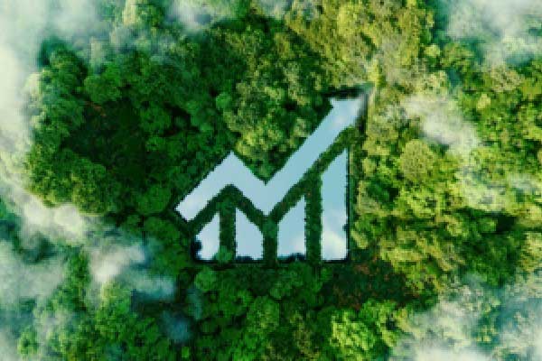 多只绩优基金接连限购，有产品份额一个季度增长超10倍